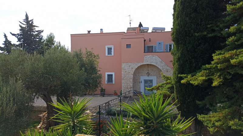 immagine annuncio 2 di 10