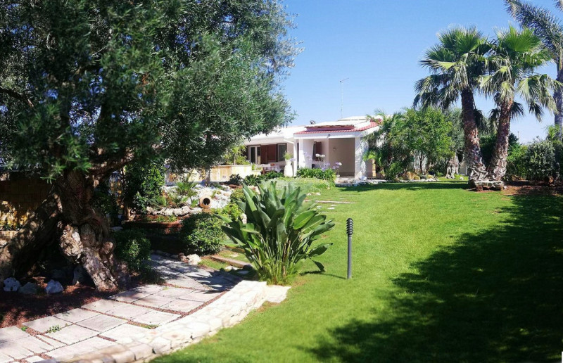 immagine annuncio 1 di 10