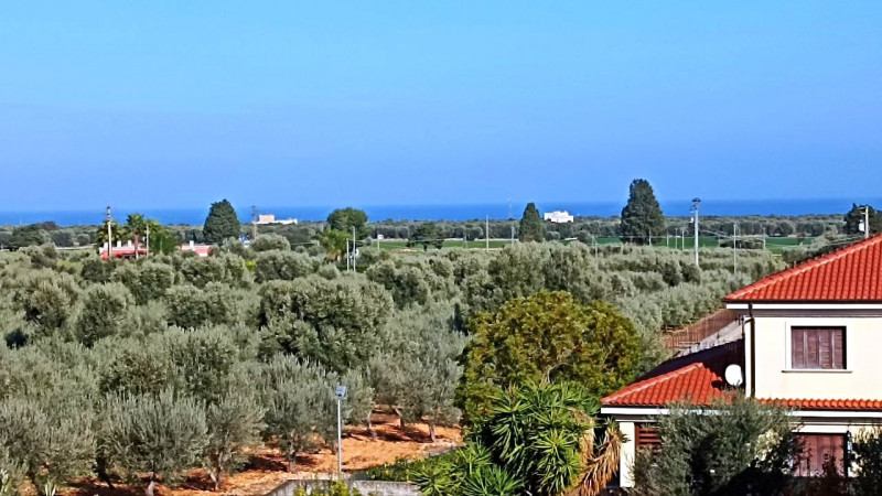 immagine annuncio 0 di 10