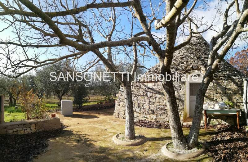 immagine annuncio 4 di 10