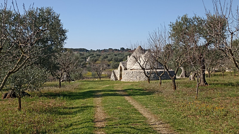 immagine annuncio 3 di 10
