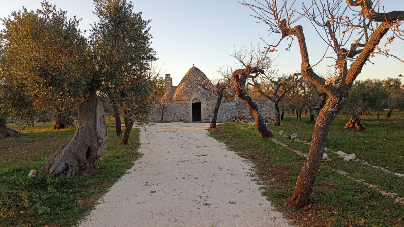 casa indipendente in vendita a Castellana Grotte