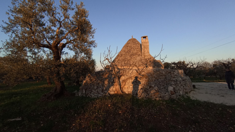 immagine annuncio 6 di 10
