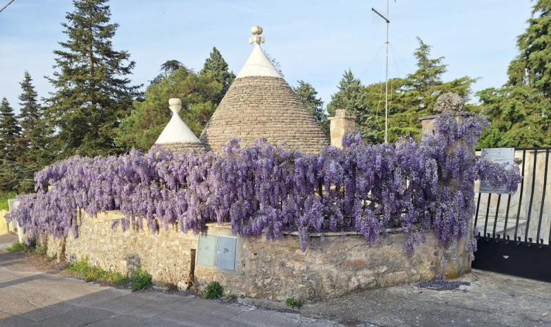 immagine annuncio 5 di 10