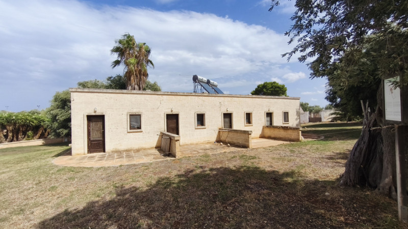 immagine annuncio 2 di 10