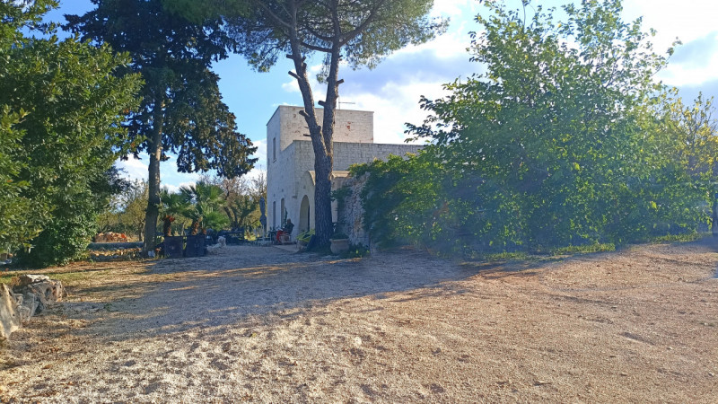 immagine annuncio 9 di 10