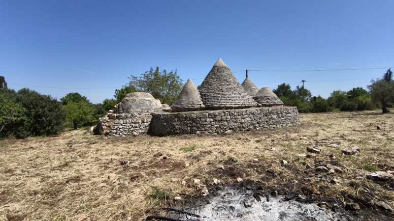 immagine annuncio 3 di 10