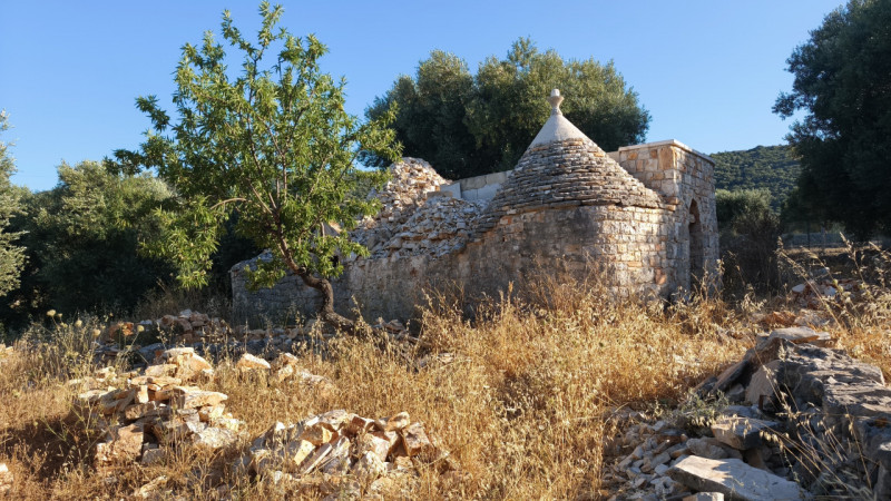 immagine annuncio 5 di 10