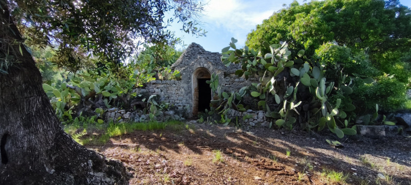 immagine annuncio 2 di 10