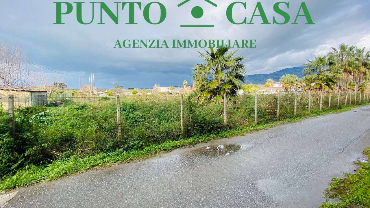 immagine annuncio 4 di 7