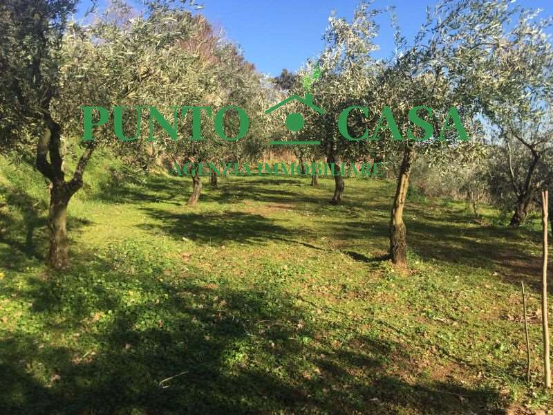 immagine annuncio 2 di 9