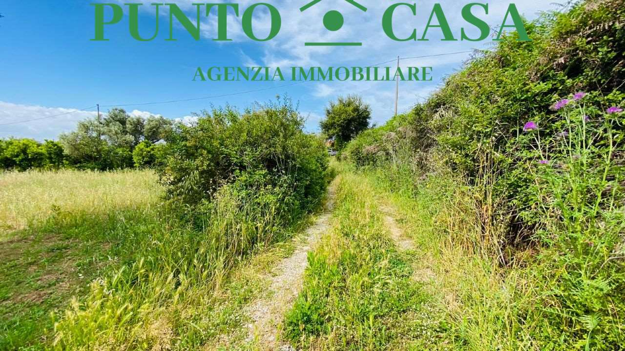 immagine annuncio 9 di 10