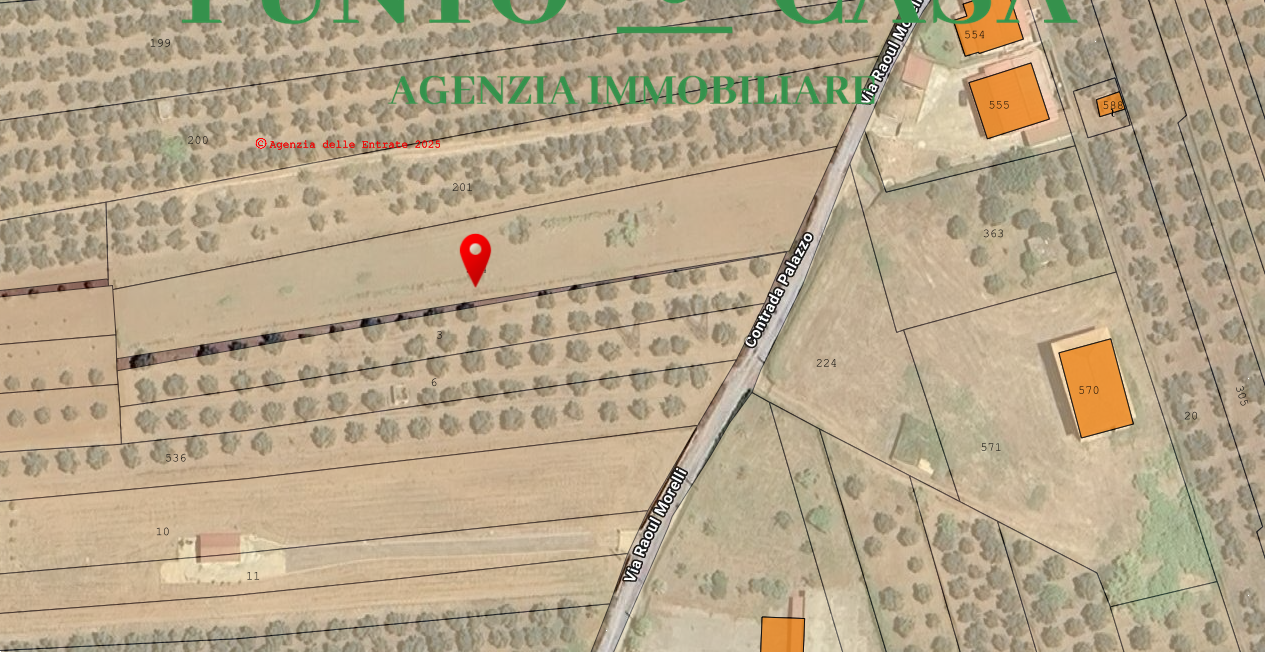 immagine annuncio 6 di 10