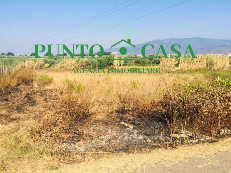 immagine annuncio 4 di 8