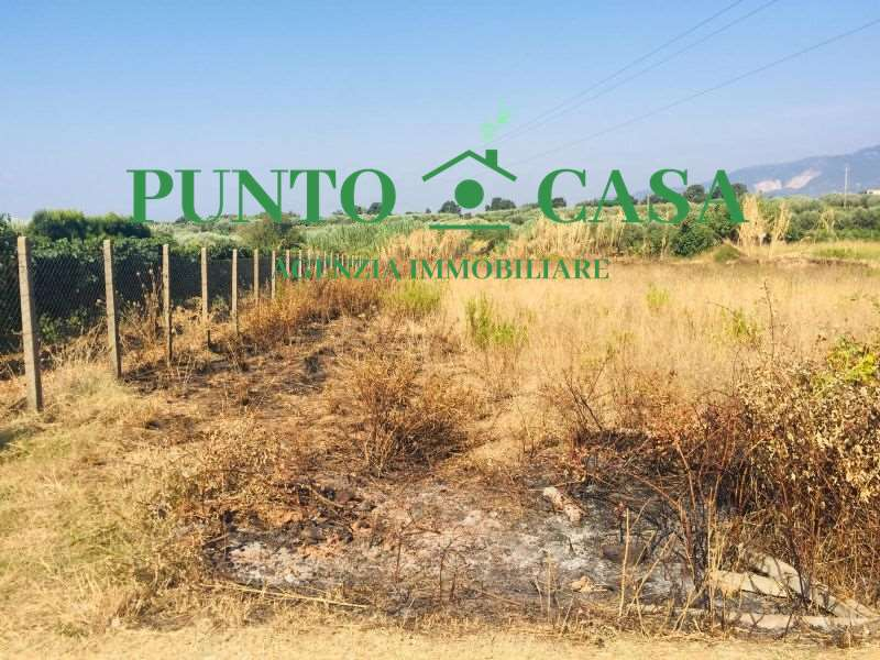 immagine annuncio 6 di 8