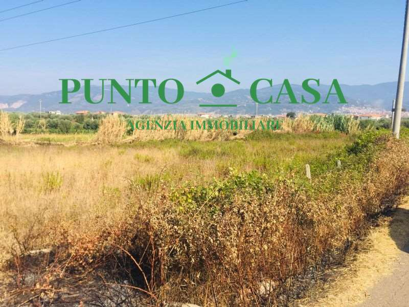 immagine annuncio 7 di 8