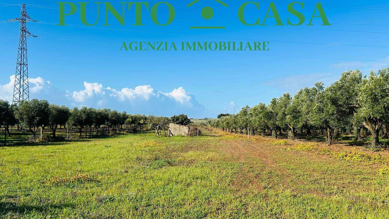 immagine annuncio 6 di 10