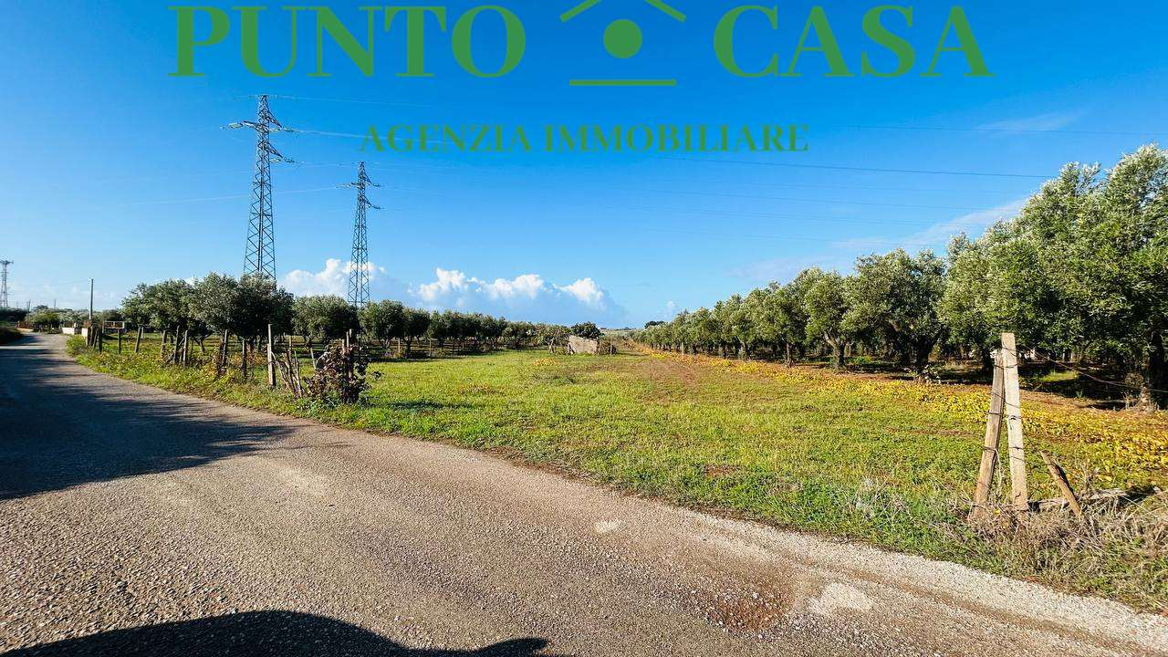 immagine annuncio 8 di 10