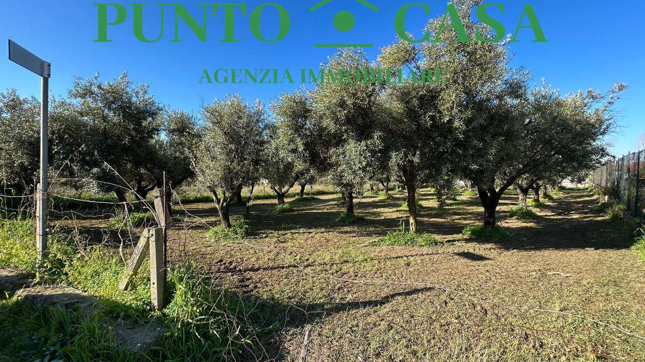 villa in vendita a Lamezia Terme in zona Sant'Eufemia Lamezia
