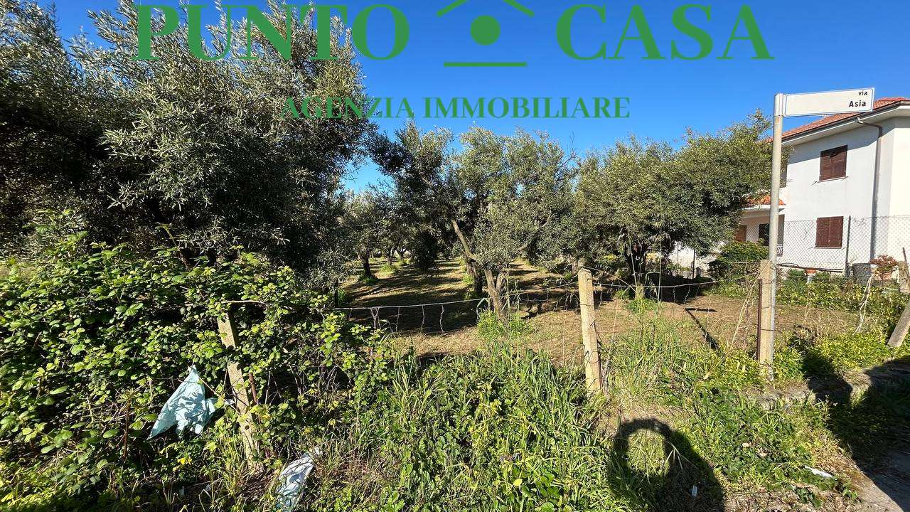 immagine annuncio 4 di 10