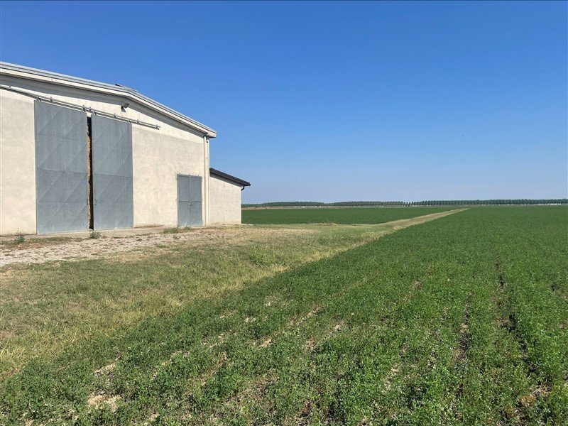 immagine annuncio 1 di 7