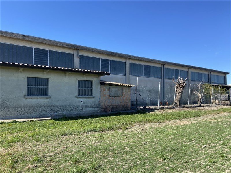 immagine annuncio 2 di 7