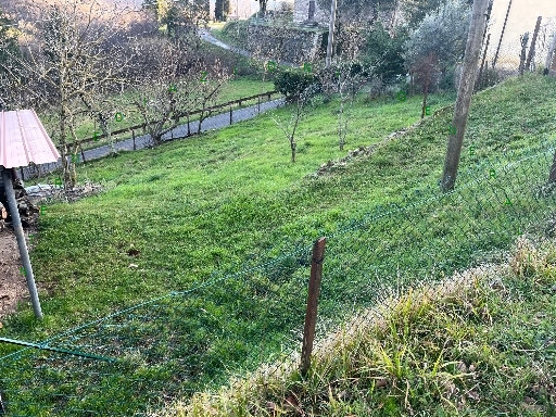 immagine annuncio 1 di 9