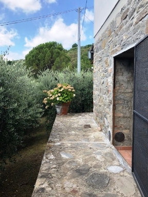 immagine annuncio 2 di 9