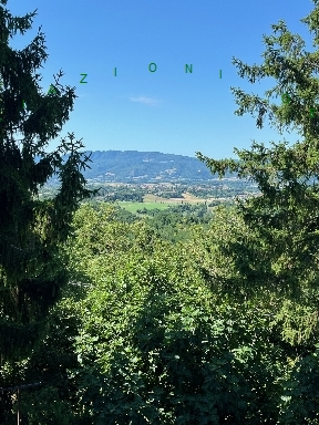 immagine annuncio 0 di 8