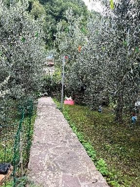 immagine annuncio 4 di 9