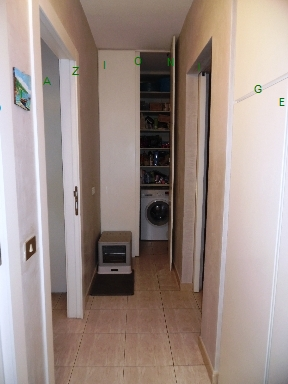 immagine annuncio 6 di 8