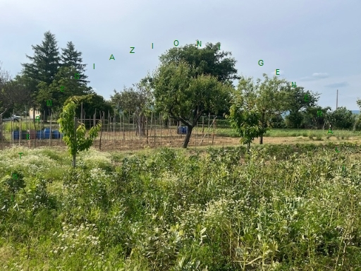 immagine annuncio 4 di 9