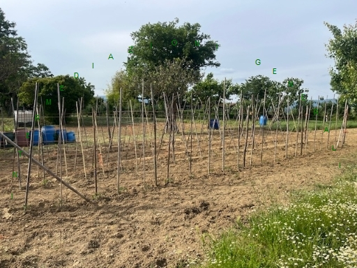 immagine annuncio 7 di 9