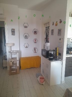 immagine annuncio 3 di 8