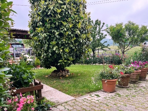 immagine annuncio 3 di 9