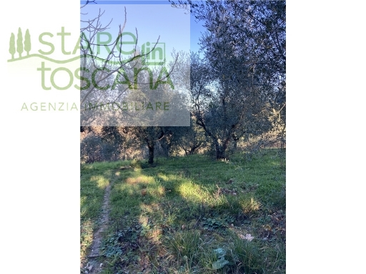 immagine annuncio 5 di 8