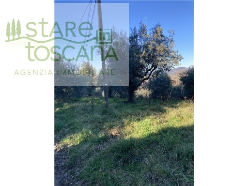 immagine annuncio 3 di 8