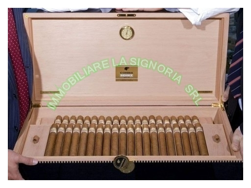 immagine annuncio 2 di 7