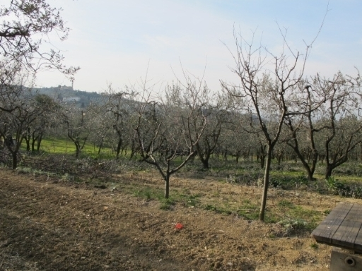 immagine annuncio 6 di 9
