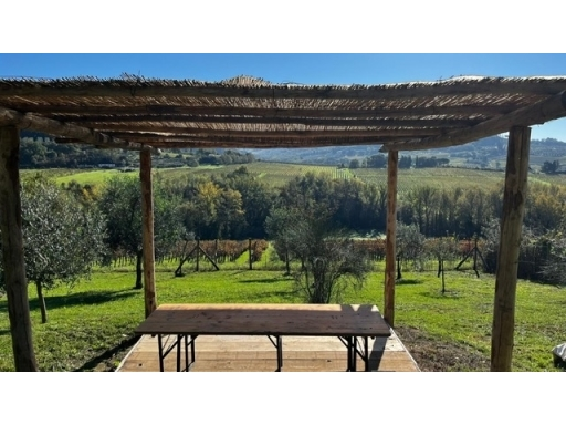 immagine annuncio 4 di 9