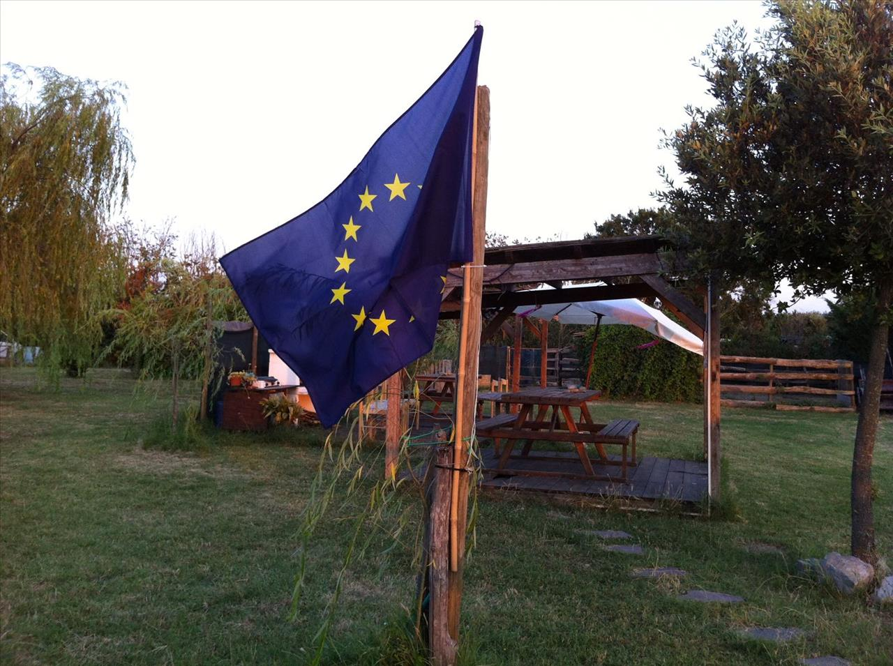 immagine annuncio 2 di 8