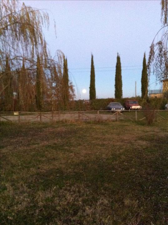 immagine annuncio 3 di 8