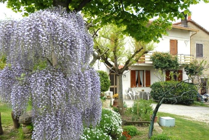 immagine annuncio 1 di 9