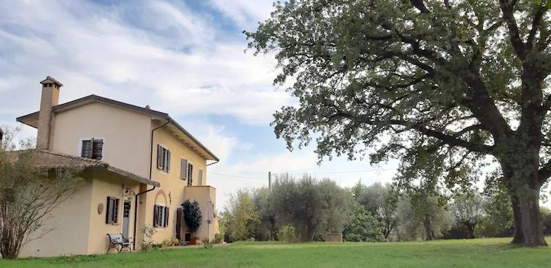 immagine annuncio 9 di 10
