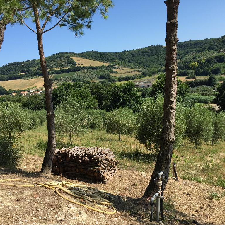 immagine annuncio 5 di 6