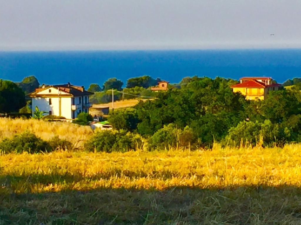 immagine annuncio 4 di 8