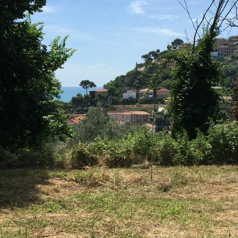 immagine annuncio 1 di 2