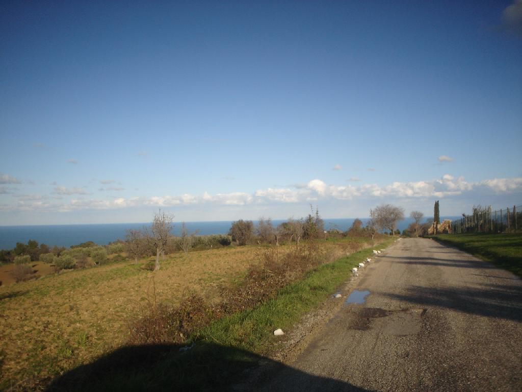 immagine annuncio 1 di 2