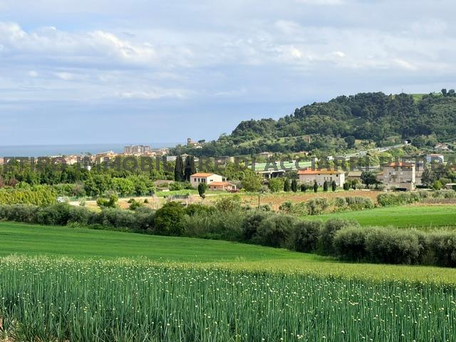 immagine annuncio 4 di 6