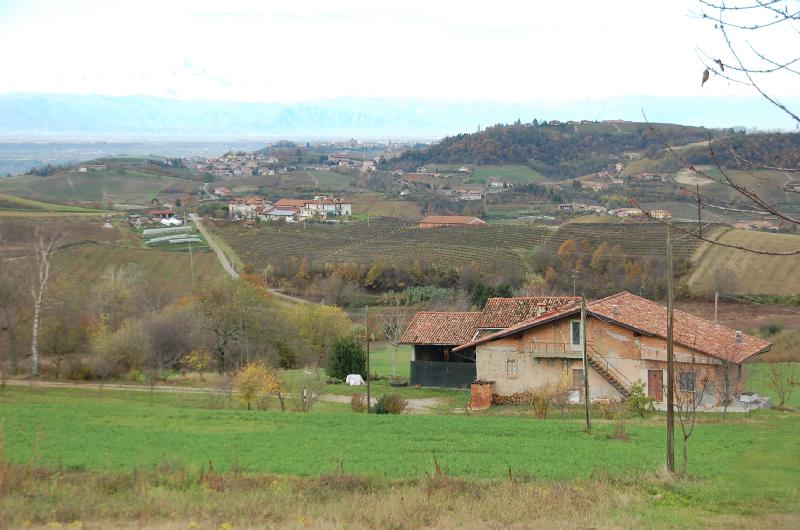 immagine annuncio 4 di 7